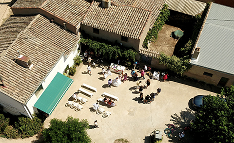 D-Drone - Grabación aérea profesional